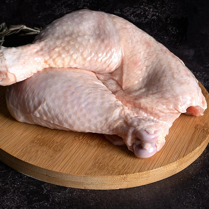 Pollo